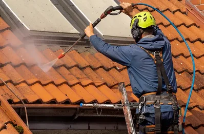 Démoussage et hydrofuge de toiture à Ligueux